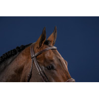Bridon Hunter US Collection by Dy'on Noir Bridon Hunter US Collection by Dy'on Noir