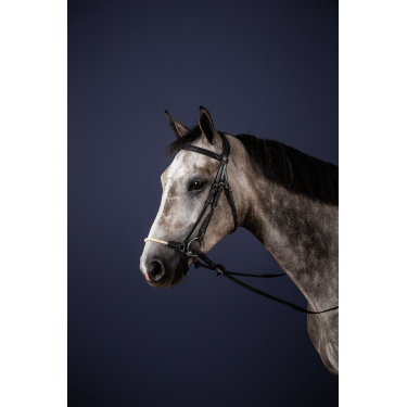 Hoofdstel Duitse Neusriem Touw New English Collection by Dy'on Zwart