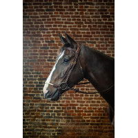 Bridon Duitse Neusriem Touw D Collectie van Dy'on Bruin