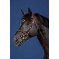 Bridon Mexicaanse Neusriem US Collection by Dy'on Zwart Bridon Mexicaanse Neusriem US Collection by Dy'on Zwart