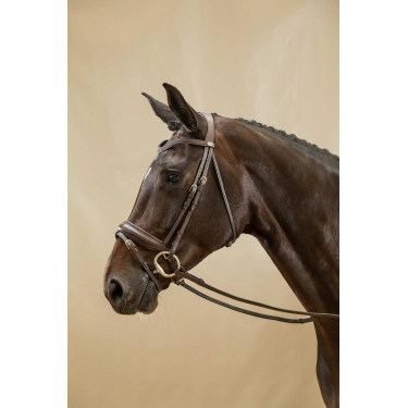 Bridon Combiné Met Brede Neusriem Working By Dy'on