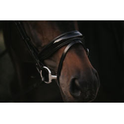 Bridon Muserolle Combinée Large Vernie Working By Dy'on Noir Bridon Muserolle Combinée Large Vernie Working By Dy'on Noir