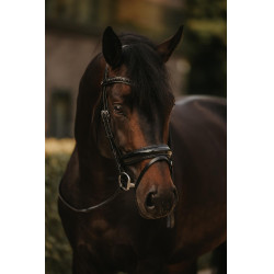 Bridon Muserolle Combinée Large Vernie Working By Dy'on Noir Bridon Muserolle Combinée Large Vernie Working By Dy'on Noir