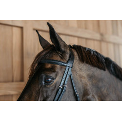Bridon muserolle combinée tréssé Dy'on Noir