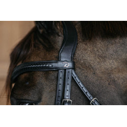 Bridon muserolle combinée tressé avec Pull Back Dy'on Noir Bridon muserolle combinée tressé avec Pull Back Dy'on Noir