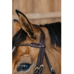 Gevlochten gecombineerde neusriem rond Dy'on Bruin