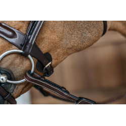 Gevlochten gecombineerde neusriem rond Dy'on Bruin