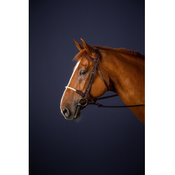 Bridon Muserolle Corde New English Collection by Dy'on Brun Bridon Muserolle Corde New English Collection by Dy'on Brun