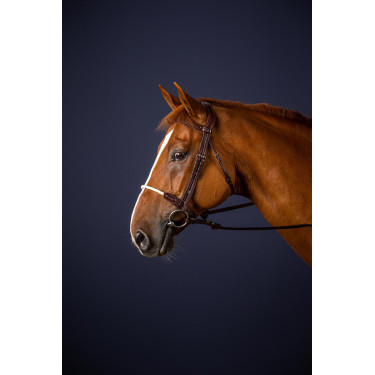 Bridon Neusriem Touw New English Collection by Dy'on Bruin