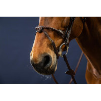 Bridon Muserolle Corde Recouverte de Cuir D Collection by Dy'on Brun