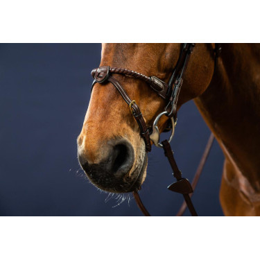 Hoofdstel Neusriem Touw Bekleed met Leer D Collectie van Dy'on Bruin