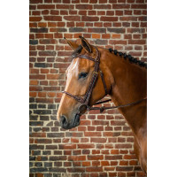 Hoofdstel Neusriem Touw Bekleed met Leer D Collectie van Dy'on Bruin