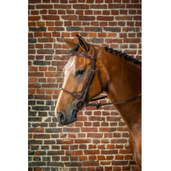 Hoofdstel Neusriem Touw Bekleed met Leer D Collectie van Dy'on Bruin