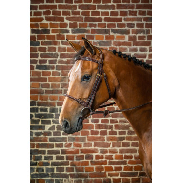 Hoofdstel Neusriem Touw Bekleed met Leer D Collectie van Dy'on Bruin