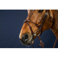 Hoofdstel Neusriem Koord Bekleed met Leer New English Collection by Dy'on Zwart