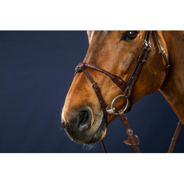 Hoofdstel Neusriem Koord Bekleed met Leer New English Collection by Dy'on