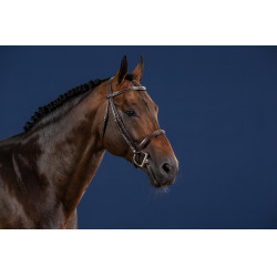 Franse Neusriem US Collectie van Dy'on
