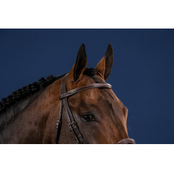 Franse Neusriem US Collectie van Dy'on Bruin