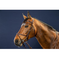 Bridon X-Fit D Collectie van Dy'on Bruin