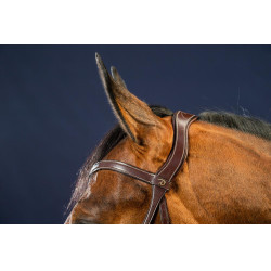 Bridon X-Fit D Collectie van Dy'on Bruin Bridon X-Fit D Collectie van Dy'on Bruin