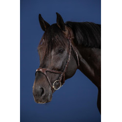 Bridon X-Fit US Collection by Dy'on Brun Marron