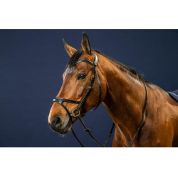 Bridon X-Fit D Collectie van Dy'on Zwart