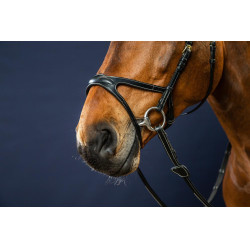 Bridon X-Fit D Collectie van Dy'on Zwart