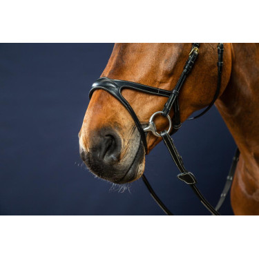 Bridon X-Fit D Collectie van Dy'on Zwart