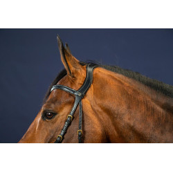 Bridon X-Fit D Collectie van Dy'on Zwart