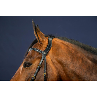 Bridon X-Fit D Collection by Dy'on Noir