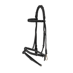 Plaited Training Bridle Working By Dy'on Noir
