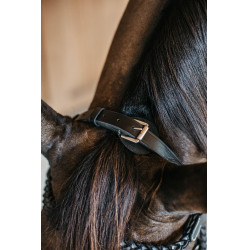 Plaited Training Bridle Working By Dy'on Noir