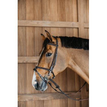 Plaited Training Bridle Working By Dy'on