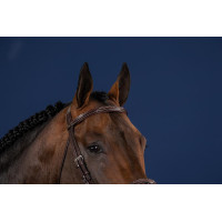 Frontaal Rechts US Collectie door Dy'on Bruin