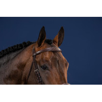 Anatomisch Rechter Frontriem US Collectie van Dy'on Bruin