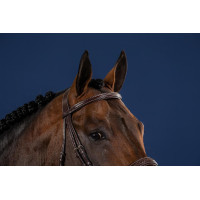 Frontal Droit Sans Pins US Collection by Dy'on Brun