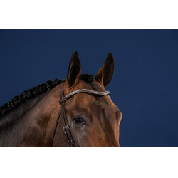 Frontale V Clincher Zilver US Collectie door Dy'on Frontale V Clincher Zilver US Collectie door Dy'on