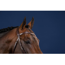 Frontaal V In leer Plat US Collectie by Dy'on