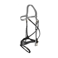 Muserolle D Motion + Cross Pull Strap D Collection by Dy'on Noir Muserolle D Motion + Cross Pull Strap D Collection by Dy'on Noir