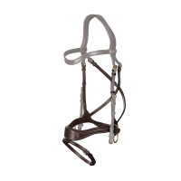 Muserolle D Motion + Cross Pull Strap D Collectie van Dy'on Bruin