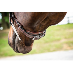 Muserolle Large Hunter Avec Pullback US Collection by Dy'on