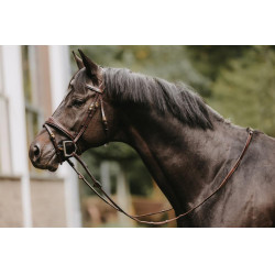 Hunter-teugels 5/8 met 7 stops D Collection by Dy'on Bruin Hunter-teugels 5/8 met 7 stops D Collection by Dy'on Bruin