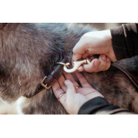 Collier Pour Chien Avec Surpiqure Décorative Dy'on Brun Marron