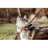 Leren Platte Hondenhalsband Dy'on Zwart Leren Platte Hondenhalsband Dy'on Zwart
