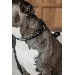 Gevlochten hondenhalsband Dy'on Gevlochten hondenhalsband Dy'on