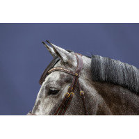 Gecombineerde Neusriem D Collection by Dy'on Bruin Gecombineerde Neusriem D Collection by Dy'on Bruin