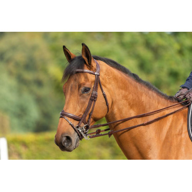 Bride Muserolle Combinée New English Collection by Dy'on Brun Marron Bride Muserolle Combinée New English Collection by Dy'on Brun Marron