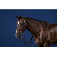 Bride Muserolle Combinée New English Collection by Dy'on Brun Marron