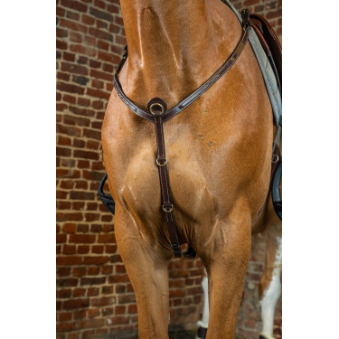 Collier De Chasse D Collection by Dy'on Brun Marron