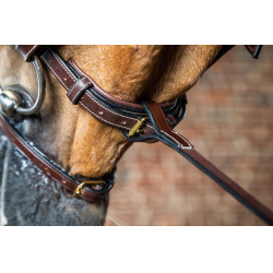 Vork van vaste martingaal D Collectie van Dy'on Bruin Vork van vaste martingaal D Collectie van Dy'on Bruin